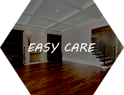 Wood Floor Specialists Images